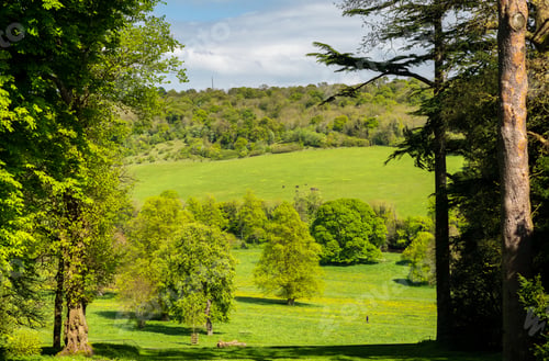 Preview: English Summer Landscape Scene Of Parkland Between Two Large Trees