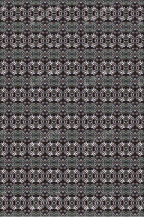 Preview: A Zebra-Patterned Inchplant With Purple And Green Leaves 0392