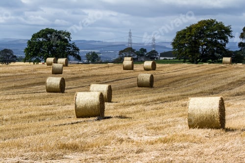 Preview: Rolls Of Hay In A Farm In Scotland With A Bit Of Sunlight Breaking Thru The Clouds