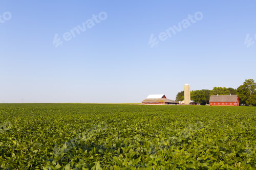 Preview: American Countryside