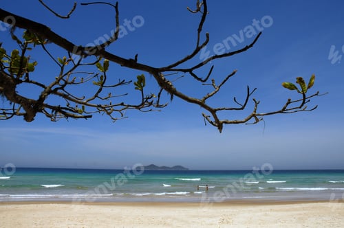 Preview: Lopes Mendes Beach On The Big Island In The State Of Rio De Janeiro.