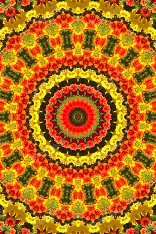Preview: Abstract Of A Calibrachoa Plant With Bright Multicolor Flowers 1849