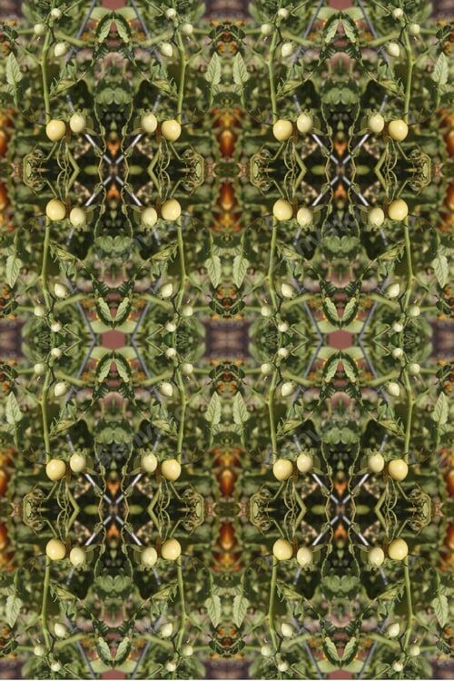 Preview: A Tomato Plant Abstract With Ripening Fruit In Small And Large Sizes 0378