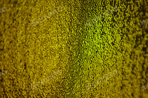 Preview: Colorful Stained Glass - Color Background - Beautiful Green And Yellow