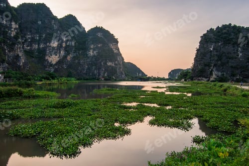 Preview: Shallow River With Lush Green Plants Floating At Sunrise With Mountains In The Background In The