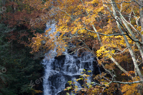 Preview: Waterfall In Autumn