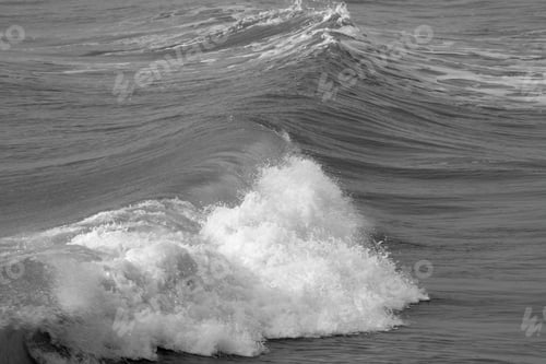 Preview: Ocean Waves Outdoors In Black And White