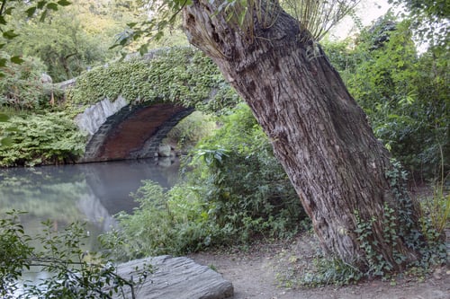Preview: Central Park, New York City Gapstow Bridge In Summer