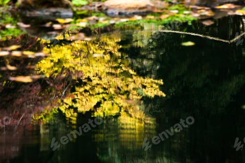 Preview: Autumn Colors Reflected In A Quiet Pond