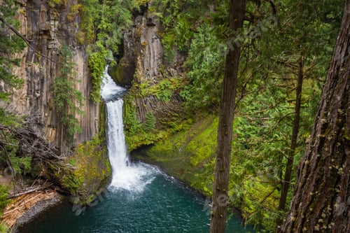 Preview: Toketee Falls In The North Umpqua River In The Umpqua National Forest In Oregon Early Springtime