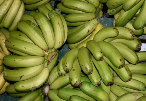 Preview: Farmers Market With Bunches Of Green Bananas For Sale.
