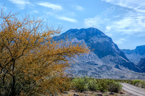 Preview: Desert Mountain With Clouds And A Tree