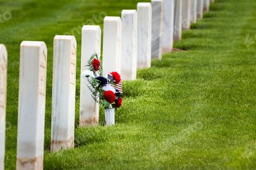 Preview: Flowers In Rows Of Tombstones In A Military Graveyard
