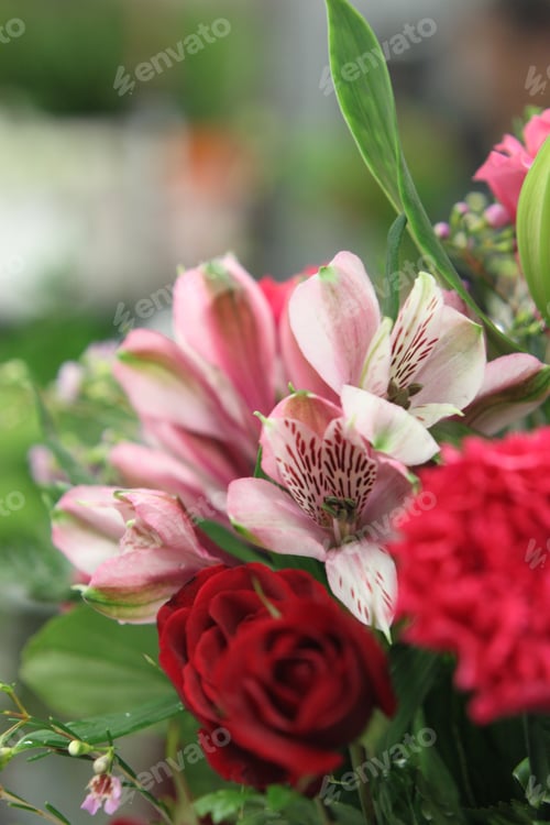 Preview: A Bouquet Arrangement Of Red Roses And Astroemerias 8099