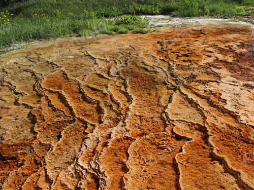 Preview: Yellowstone National Park In Wyoming