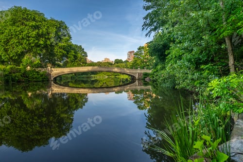 Preview: Bow Bridge, Central Park, New York City In Spring Early In Morning