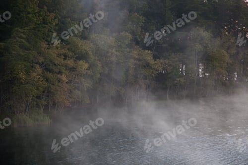 Preview: Early Morning Mist On A Quiet Lake Reflecting Trees