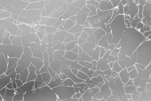 Preview: Spider Web Abstract - Nature Background - Texture And Art From The Outdoors