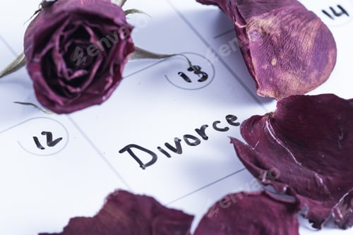 Preview: Close Up Concept Image For A Divorce Using A Dry Erase Calendar And A Dried Dead Rose