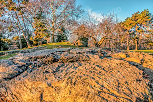 Preview: Central Park, New York City