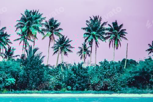 Preview: Photo Of Bavaro Beaches In Punta Cana, Dominican Republic