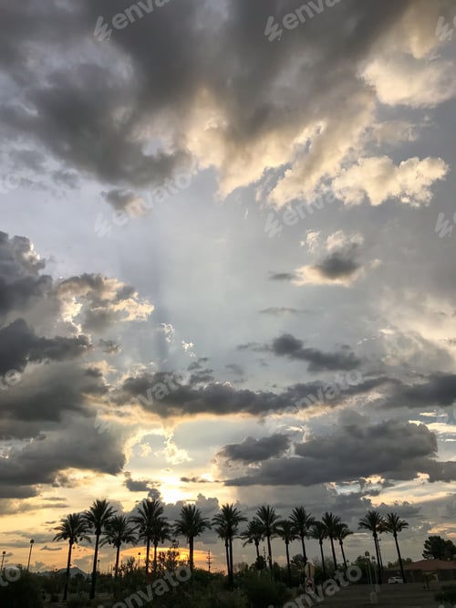 Preview: Sunset Behind Palm Trees With Dramatic Clouds
