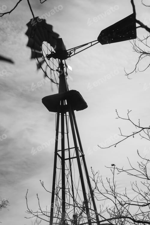 Preview: Windmill And Trees In Black And White