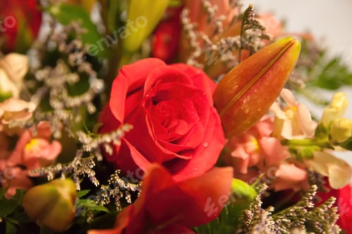 Preview: Red Rose In An Arrangement
