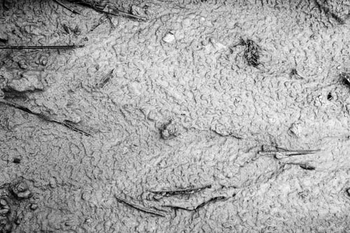 Preview: Image Of Ground, Textured Background Image Of Space Of Nature Floor.