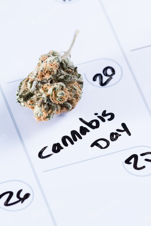 Preview: Close Up Image For A Concept Using A Calendar, A Cannabis Bud And A Black Marker To Write The Words