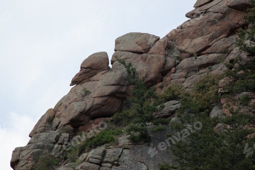 Preview: Tree Growing Out Of A Rocky Hillside