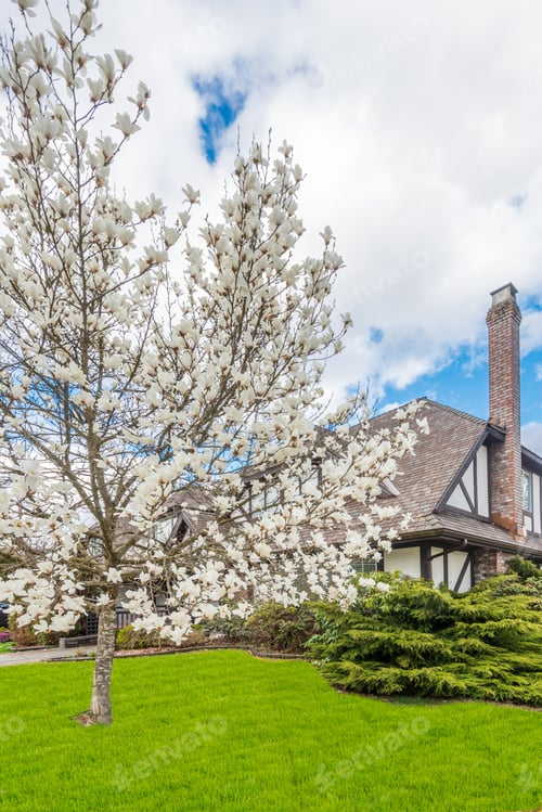 Preview: Houses In Suburb At Summer In The North America. Luxury Houses With Nice Landscape.
