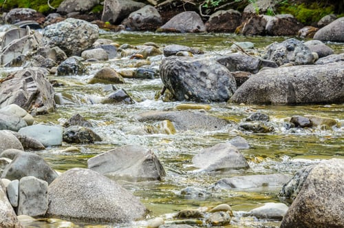 Preview: Majestic Mountain River In Canada. Manning Park Lightning Lake Trail In British Columbia.
