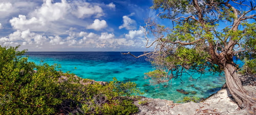 Preview: Washington Slagbaai National Park Is A National Park And Ecological Reserve On The Northwestern
