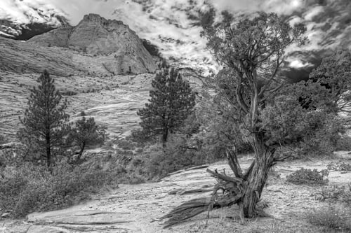 Preview: Zion National Park Is An American National Park Located In Southwestern Utah Near The Town Of