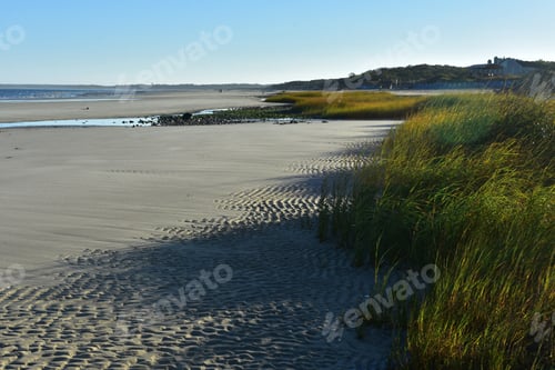 Preview: Sunny Day On The Coast Of Cape Cod