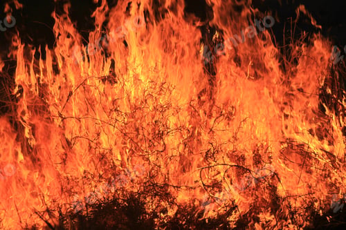 Preview: Flame And Fire Background - Colors Of Burning Heat - Iconic Tool Of Man'S Survival