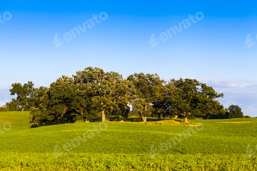 Preview: American Farmland With Blue Cloudy Sky
