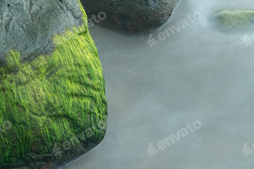 Preview: Macro Detail Shot Of The Green Seaweed On Rocks In The Ocean As Waves Are Smoothed By Long Duration