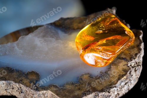 Preview: Close Up Of A Piece Of Amber Preserving A Piece Of History Inside