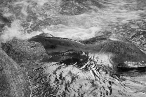 Preview: Cascading Stream In Black And White
