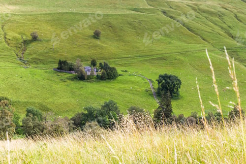 Preview: Green Open Grazing Area With Sheep Looking Like Little White Specks In This Sheep Farm In The