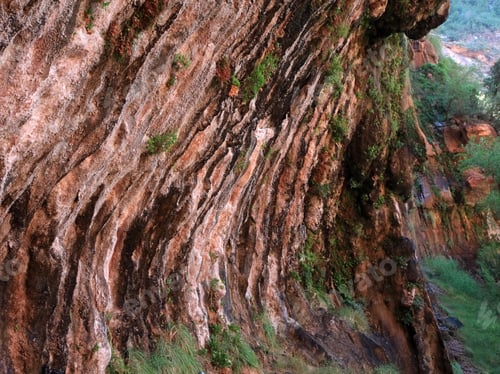 Preview: Weeping Rock Is Feature Of Zion National Park Utah