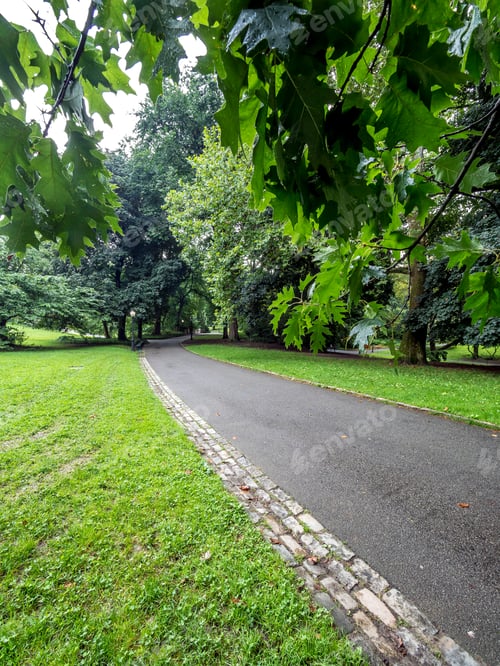 Preview: Central Park, New York City In The Summer After Rain