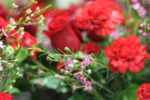 Preview: A Floral Bouquet Arrangement With Crimson Red Carnations And Pink Wax Flowers 8009