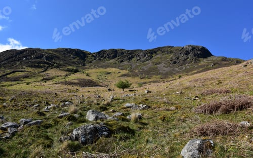 Preview: Valley With Rocky Mountains And Landscape In England.
