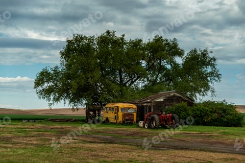 Preview: Old Vehicle Under Tree. Wa, Usa.