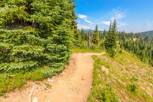 Preview: Beautiful Mountain Trail. Blackwall Peak Trail At Manning Park In British Columbia. Canada.