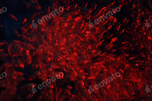 Preview: Rising Air Bubbles Of Color - Colorful Backgrounds - Red Mystic