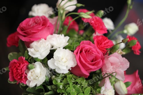 Preview: A Bouquet Of Red White And Pink Roses 1550